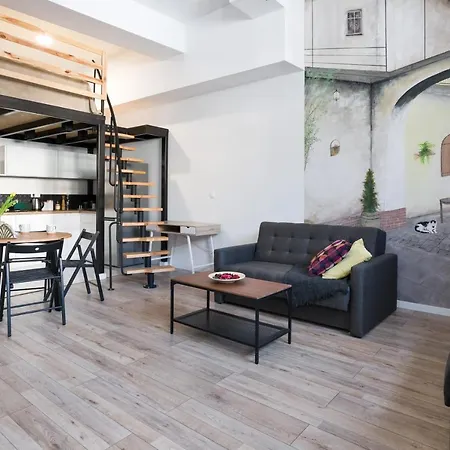Your Big Loft Close To Center