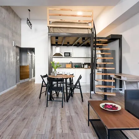 Your Big Loft Close To Center Apartmán Krakov