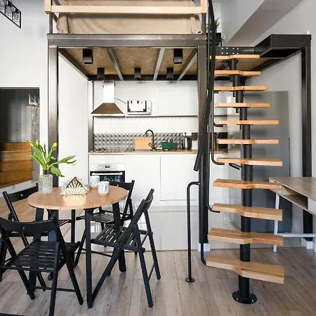 Your Big Loft Close To Center