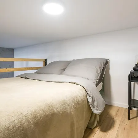 Apartment Your Big Loft Close To Center Krakow