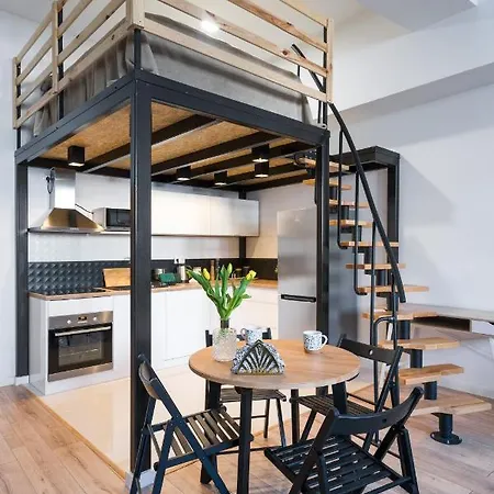 Apartment Your Big Loft Close To Center Krakow