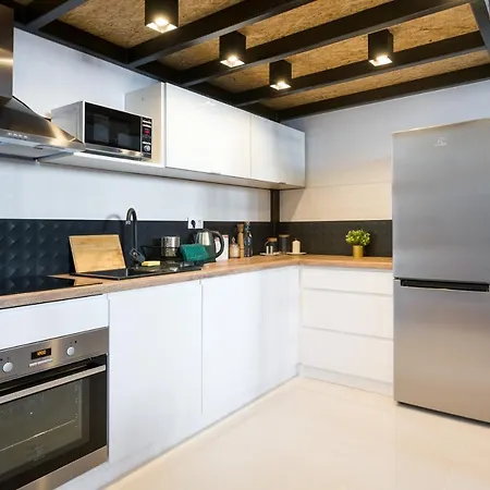 Your Big Loft Close To Center Appartement